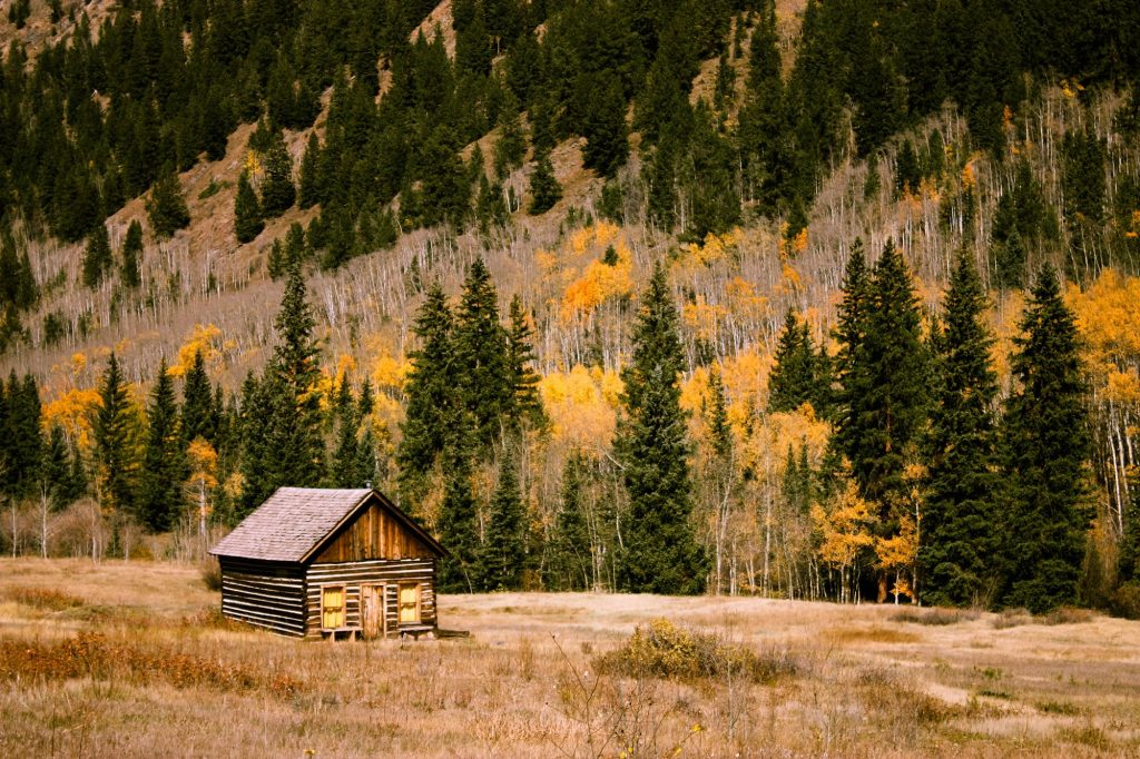 Homestead cabin