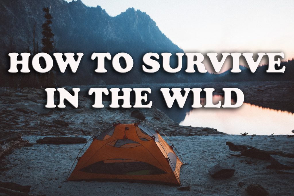 How to survive in the wild