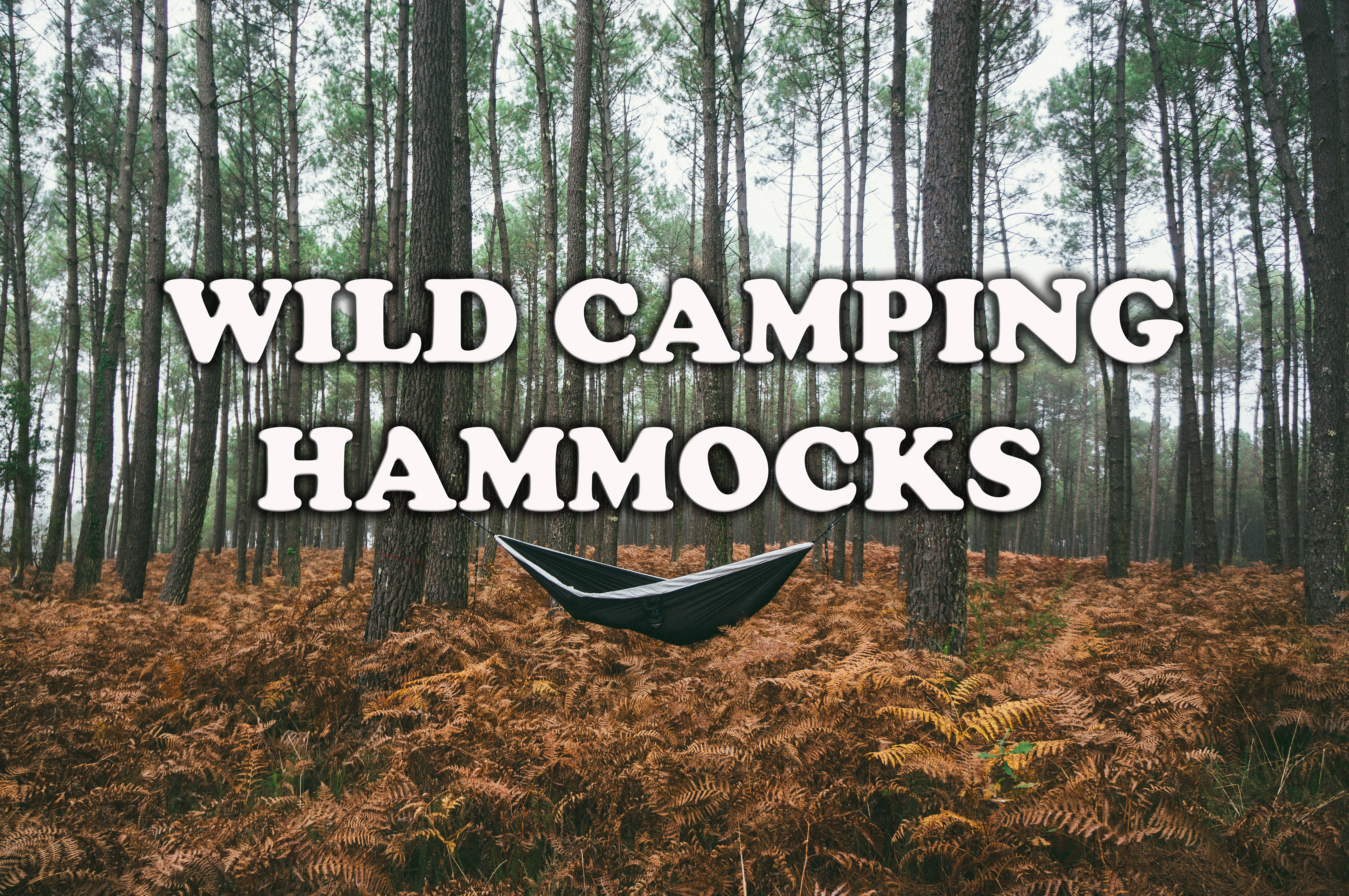 wild camping hammocks